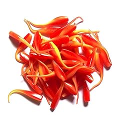 East rain colorful for sale  Delivered anywhere in UK