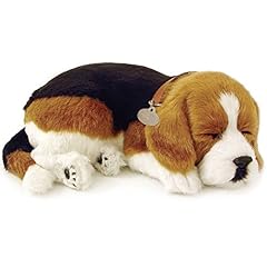 Perfect petzzz beagle usato  Spedito ovunque in Italia 