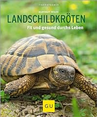 Landschildkröten fit gesund gebraucht kaufen  Wird an jeden Ort in Deutschland