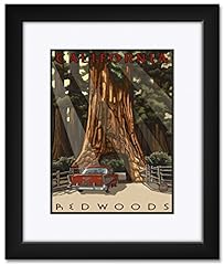 California redwoods car for sale  Delivered anywhere in USA 