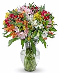 Benchmark bouquets stem for sale  Delivered anywhere in USA 