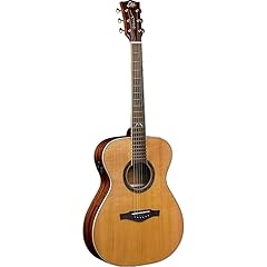 Eko guitars mia usato  Spedito ovunque in Italia 