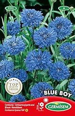 Germisem graines bleuet d'occasion  Livré partout en France
