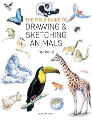 Field guide drawing for sale  Delivered anywhere in UK