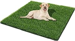 Ssriver dog grass for sale  Delivered anywhere in USA 