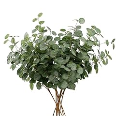 Hnvner bunches eucalyptus for sale  Delivered anywhere in UK