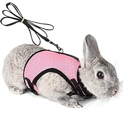 Pettom bunny rabbit for sale  Delivered anywhere in USA 