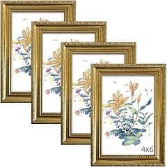Bescrcl 4x6 picture for sale  Delivered anywhere in USA 