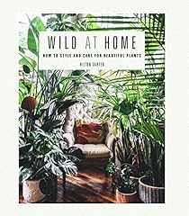 Wild home style for sale  Delivered anywhere in USA 