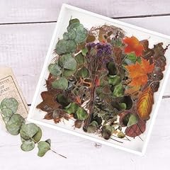 Nogamoga pièces scrapbooking d'occasion  Livré partout en France