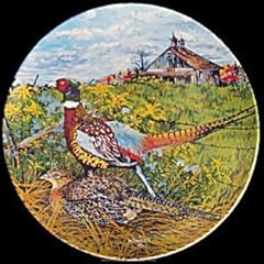 Pheasant wayne anderson for sale  Delivered anywhere in USA 