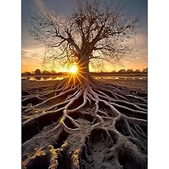 Artery8 sunset ancient for sale  Delivered anywhere in USA 