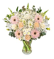 Florist choice fresh for sale  Delivered anywhere in UK
