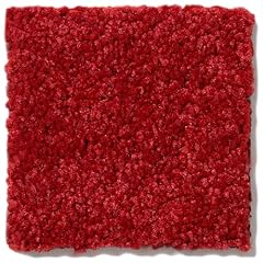 Koeckritz rugs rug for sale  Delivered anywhere in USA 