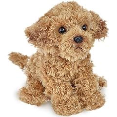 Bearington doodles labradoodle for sale  Delivered anywhere in UK