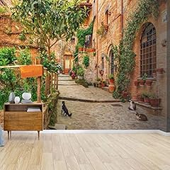 Beautiful alley old for sale  Delivered anywhere in USA 