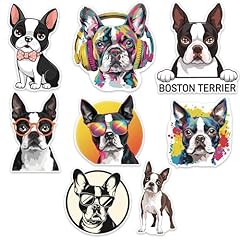Boston terrier dog for sale  Delivered anywhere in USA 