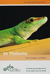 Phelsuma een knappe d'occasion  Livré partout en Belgiqu