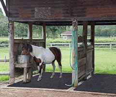 Meitola horse stable for sale  Delivered anywhere in USA 