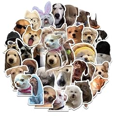 50counts dog animali usato  Spedito ovunque in Italia 