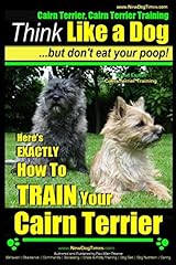 Cairn terrier cairn for sale  Delivered anywhere in USA 
