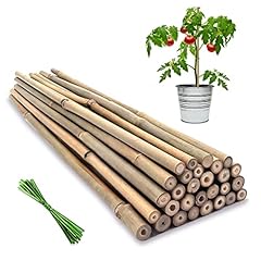Plant stakes inches for sale  Delivered anywhere in USA 