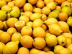 Meyer lemons for sale  Delivered anywhere in USA 