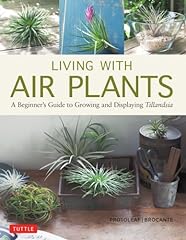 Living air plants for sale  Delivered anywhere in USA 