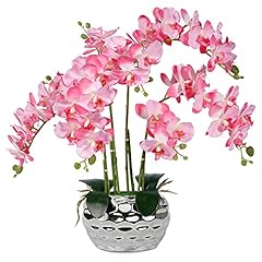 Livilan pink orchid for sale  Delivered anywhere in USA 