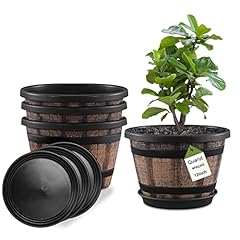 Quarut plant pots for sale  Delivered anywhere in USA 