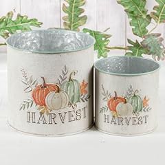 Autumn happy harvest for sale  Delivered anywhere in USA 