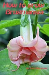 Grow brugmansia for sale  Delivered anywhere in Ireland