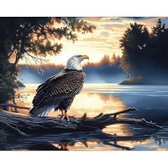 Natuyalo paint numbers for sale  Delivered anywhere in USA 