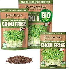 Zengreens graines chou d'occasion  Livré partout en France