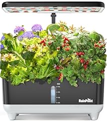 Rainpoint hydroponics growing for sale  Delivered anywhere in USA 