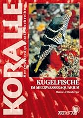 Kugelfische meerwasseraquarium d'occasion  Livré partout en Belgiqu