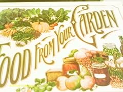 Food garden need for sale  Delivered anywhere in UK