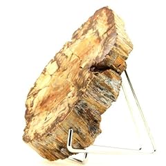 Petrified wood 6750.0 for sale  Delivered anywhere in USA 