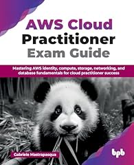 Aws cloud practitioner usato  Spedito ovunque in Italia 