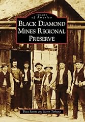 Black diamond mines for sale  Delivered anywhere in USA 