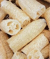 Burpee ornamental luffa for sale  Delivered anywhere in USA 