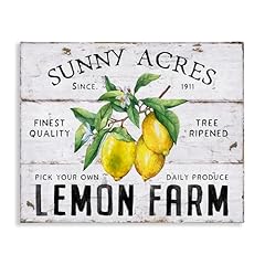 Stupell industries sunny for sale  Delivered anywhere in USA 