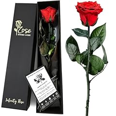 Sopalmy ewige rose gebraucht kaufen  Wird an jeden Ort in Deutschland