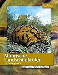 Maurische landschildkröten te gebraucht kaufen  Wird an jeden Ort in Deutschland