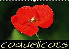 Coquelicots d'occasion  Livré partout en France