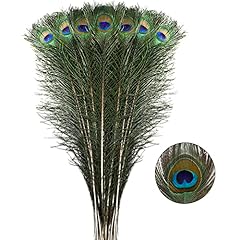 Larryhot long peacock for sale  Delivered anywhere in USA 