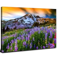 Rainier mountain wall for sale  Delivered anywhere in USA 