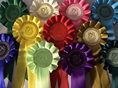 Horse shoe rosettes for sale  Delivered anywhere in UK
