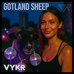 Gotland sheep for sale  Delivered anywhere in USA 