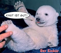 Knut gebraucht kaufen  Wird an jeden Ort in Deutschland